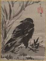 Free download Crow and Reeds by a Stream free photo or picture to be edited with GIMP online image editor