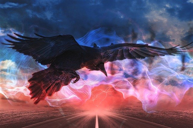 Free download Crow Art Ave -  free photo or picture to be edited with GIMP online image editor