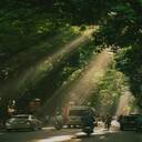 crowded road wallpaper  screen for extension Chrome web store in OffiDocs Chromium