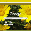 Crown Daisy  screen for extension Chrome web store in OffiDocs Chromium