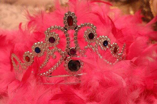 Free download Crown Fancy Dress Costume -  free photo or picture to be edited with GIMP online image editor