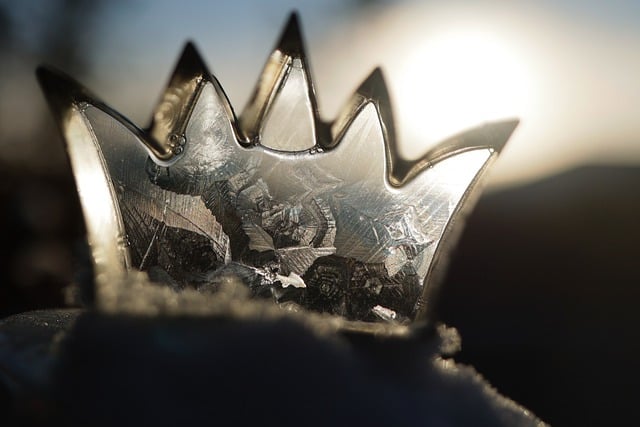 Free download crown frozen winter season macro free picture to be edited with GIMP free online image editor