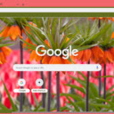 Crown Imperial  screen for extension Chrome web store in OffiDocs Chromium