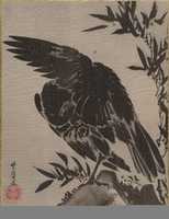 Free download Crow on a Rock free photo or picture to be edited with GIMP online image editor