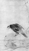 Free download Crow on Rock free photo or picture to be edited with GIMP online image editor
