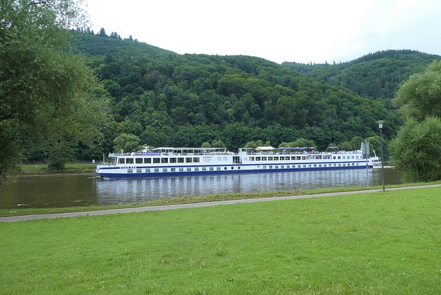 Free download cruise ship ship moselle germany free picture to be edited with GIMP free online image editor