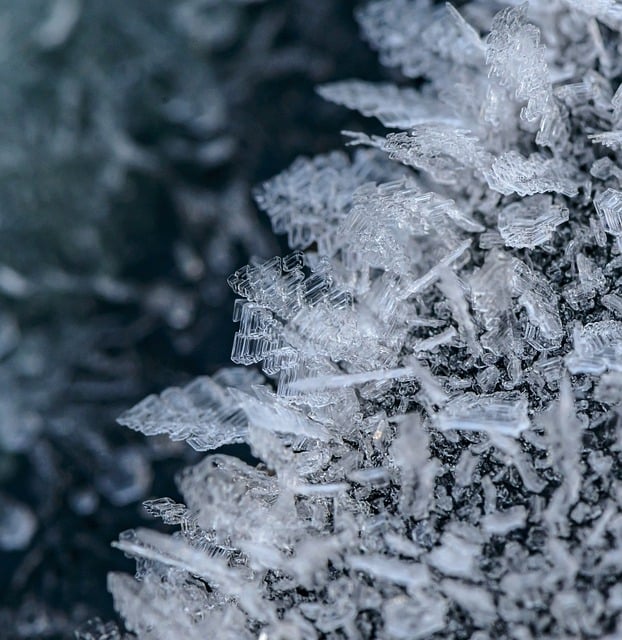 ดาวน์โหลดฟรี Crystals Frost Macro ปิดภาพฟรีเพื่อแก้ไขด้วยโปรแกรมแก้ไขรูปภาพออนไลน์ GIMP ฟรี