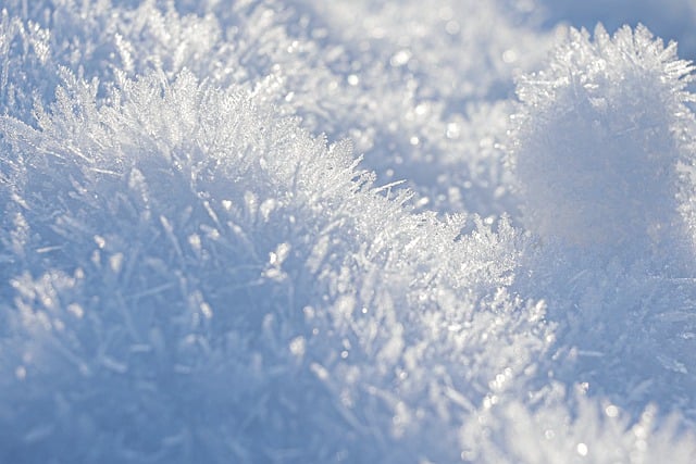 ດາວ​ໂຫຼດ​ຟຣີ​ໄປ​ເຊຍ​ກັນ snow snow cover ຟຣີ​ຮູບ​ພາບ​ທີ່​ຈະ​ໄດ້​ຮັບ​ການ​ແກ້​ໄຂ​ທີ່​ມີ GIMP ບັນນາທິການ​ຮູບ​ພາບ​ອອນ​ໄລ​ນ​໌​ຟຣີ​