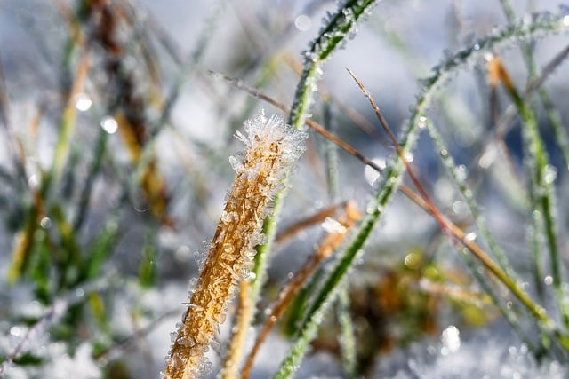Free download crystals frozen ice cream cold free picture to be edited with GIMP free online image editor