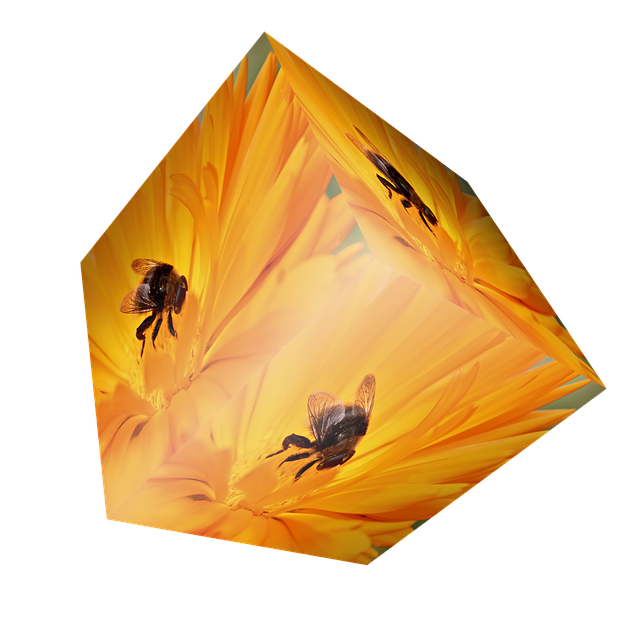 Free download Cube Flower Bee -  free illustration to be edited with GIMP free online image editor