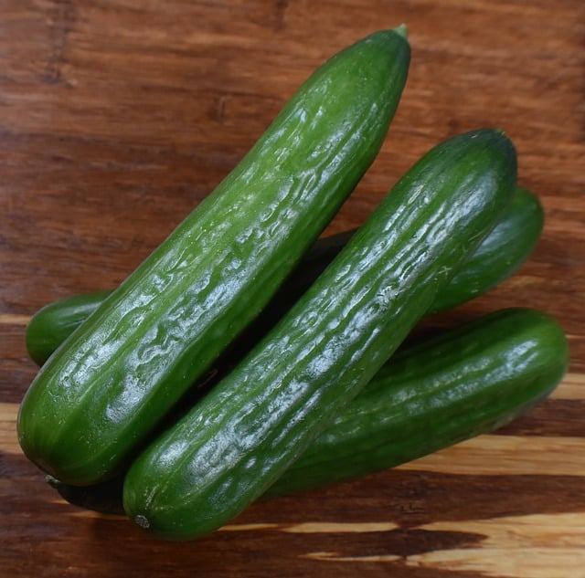 Free download cucumber vegetable food healthy free picture to be edited with GIMP free online image editor