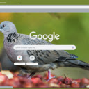 Cu gay  screen for extension Chrome web store in OffiDocs Chromium