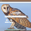 Cu Lon  screen for extension Chrome web store in OffiDocs Chromium