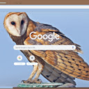 Cu meo  screen for extension Chrome web store in OffiDocs Chromium