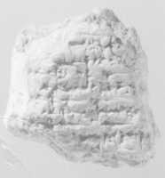 Free download Cuneiform tablet: bilingual unidentified fragment free photo or picture to be edited with GIMP online image editor