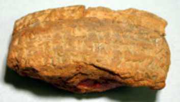 Free download Cuneiform tablet: fragment of a witness list and date formula free photo or picture to be edited with GIMP online image editor