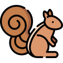 Curious Squirrel on a Branch  screen for extension Chrome web store in OffiDocs Chromium