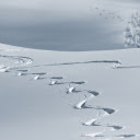 Curves in the snow  screen for extension Chrome web store in OffiDocs Chromium