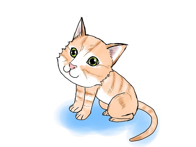 Free download Cute Animal Cat Sit -  free illustration to be edited with GIMP free online image editor