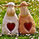 Cute baby sheep  screen for extension Chrome web store in OffiDocs Chromium