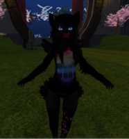 Free download Cute Cat Kavata 001 free photo or picture to be edited with GIMP online image editor