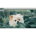 Cute Doggie  screen for extension Chrome web store in OffiDocs Chromium