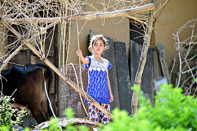 Безкоштовно завантажте Cute Girl Child — безкоштовну фотографію чи зображення для редагування за допомогою онлайн-редактора зображень GIMP