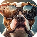 cute puppy wears sunglasses summer fun  screen for extension Chrome web store in OffiDocs Chromium