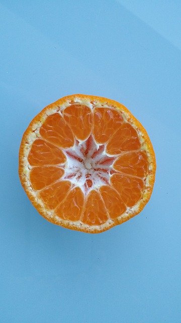 Unduh gratis Cut Fruit Orange - foto atau gambar gratis untuk diedit dengan editor gambar online GIMP