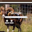 Cuu Rung  screen for extension Chrome web store in OffiDocs Chromium