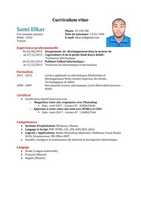 Free download cv_fr_2_01 free photo or picture to be edited with GIMP online image editor