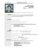 Free download Cv Hamdy Basuony free photo or picture to be edited with GIMP online image editor