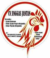 Free download Cv Unggas Jantan free photo or picture to be edited with GIMP online image editor