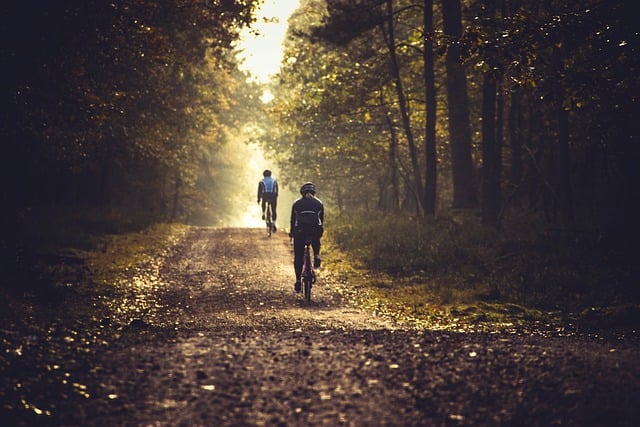 Free download cycling bicycle mountainbike nature free picture to be edited with GIMP free online image editor