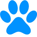 Cypherdog Email Encryption  screen for extension Chrome web store in OffiDocs Chromium