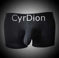 Free download Cyr Dion Swimsuit free photo or picture to be edited with GIMP online image editor
