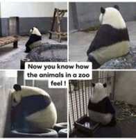 Free download czc7_04 free photo or picture to be edited with GIMP online image editor