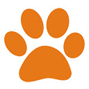 Dachshund Wallpaper New Tab  screen for extension Chrome web store in OffiDocs Chromium