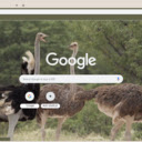 Da Dieu  screen for extension Chrome web store in OffiDocs Chromium