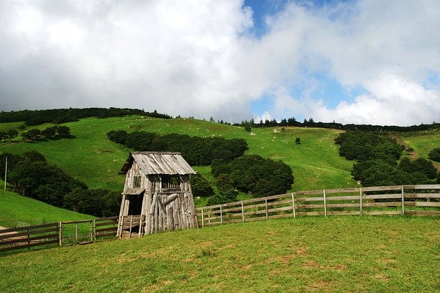 Безкоштовно завантажте Daegwallyeong Sky Nature Cattle - безкоштовне фото або зображення для редагування за допомогою онлайн-редактора зображень GIMP