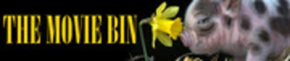 Free download Daffodil Piggy Header free photo or picture to be edited with GIMP online image editor