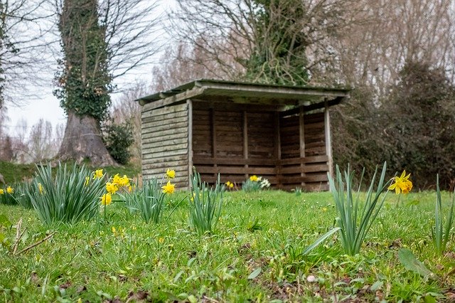 Bezpłatne pobieranie Daffodil Spring Park - bezpłatne zdjęcie lub obraz do edycji za pomocą internetowego edytora obrazów GIMP