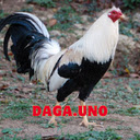 Da Ga The World Of Colorful Entertainment  screen for extension Chrome web store in OffiDocs Chromium