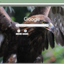 Dai bang  screen for extension Chrome web store in OffiDocs Chromium