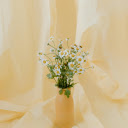 Daisies in a Flower Vase  screen for extension Chrome web store in OffiDocs Chromium