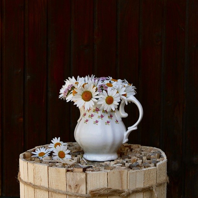 Gratis download Daisies Wildflowers White - gratis foto of afbeelding om te bewerken met GIMP online afbeeldingseditor