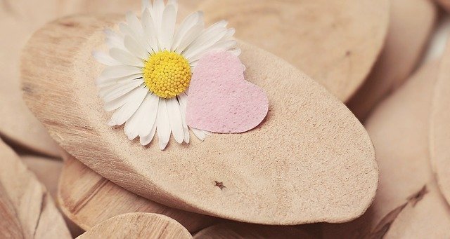 Free download daisy heart sweetheart blossom free picture to be edited with GIMP free online image editor