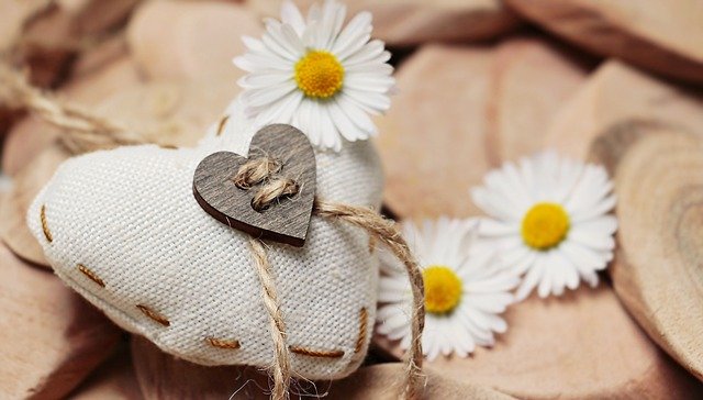 Free download daisy heart thank you love free picture to be edited with GIMP free online image editor