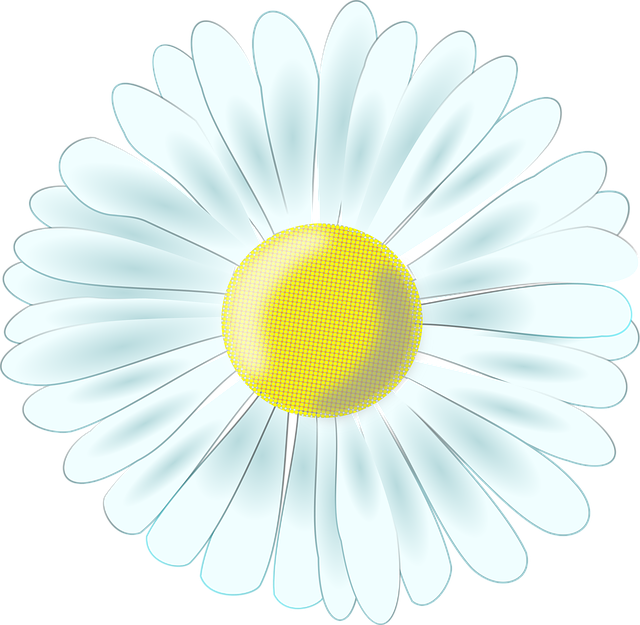 Free download Daisy Tausendschön Composites - Free vector graphic on Pixabay free illustration to be edited with GIMP free online image editor