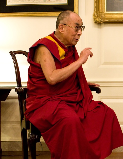 Free download dalai lama portrait discussion free picture to be edited with GIMP free online image editor